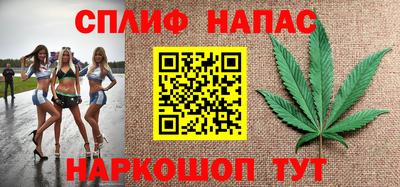 индика Тверь