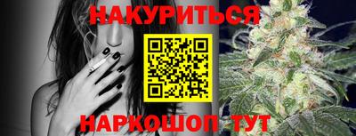 индика Тверь