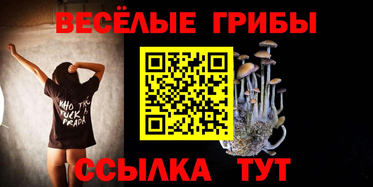Псилоцибиновые грибы мухоморы Ревда